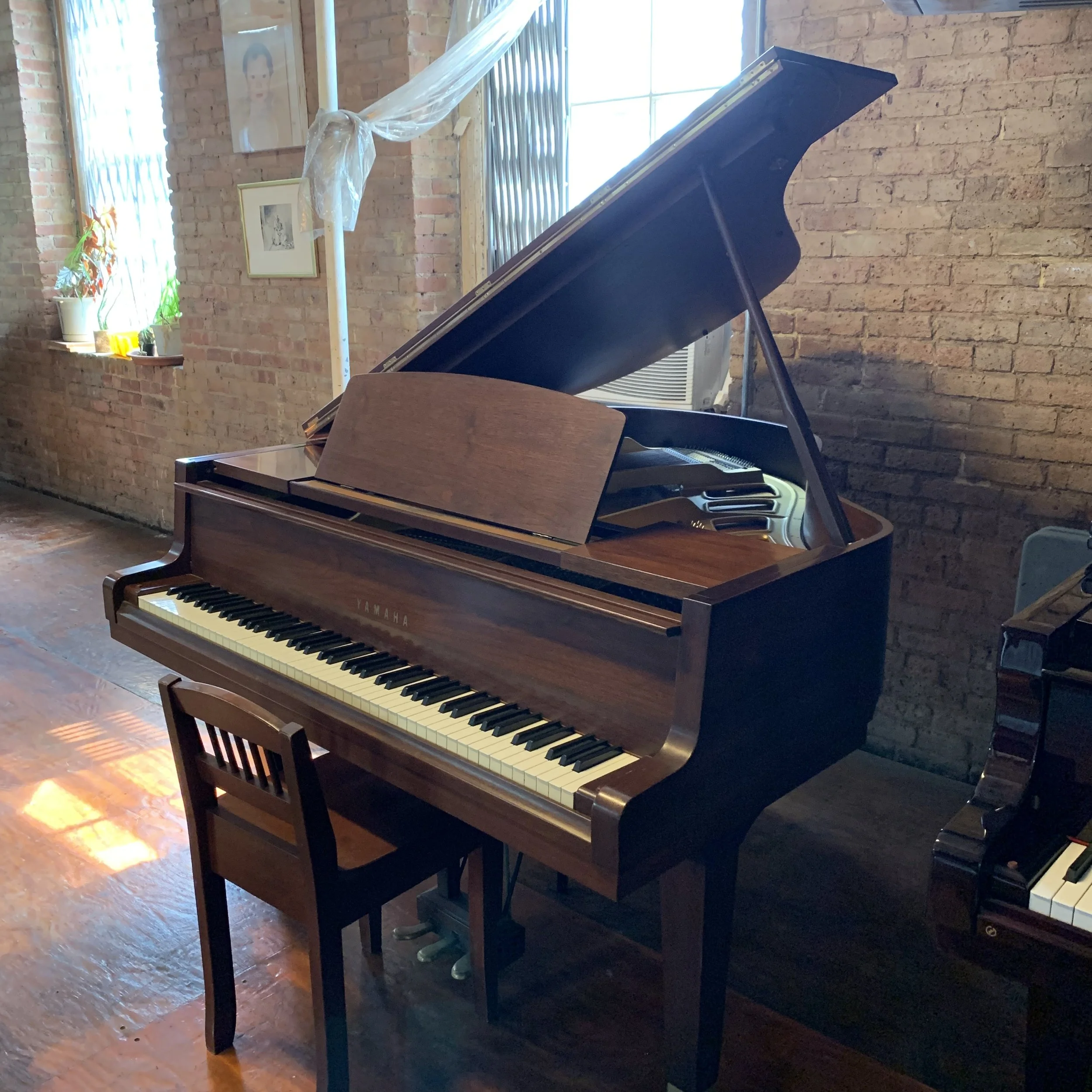 希少　ハーマン　ベートーヴェン Grand Pianos | Beethoven Pianos